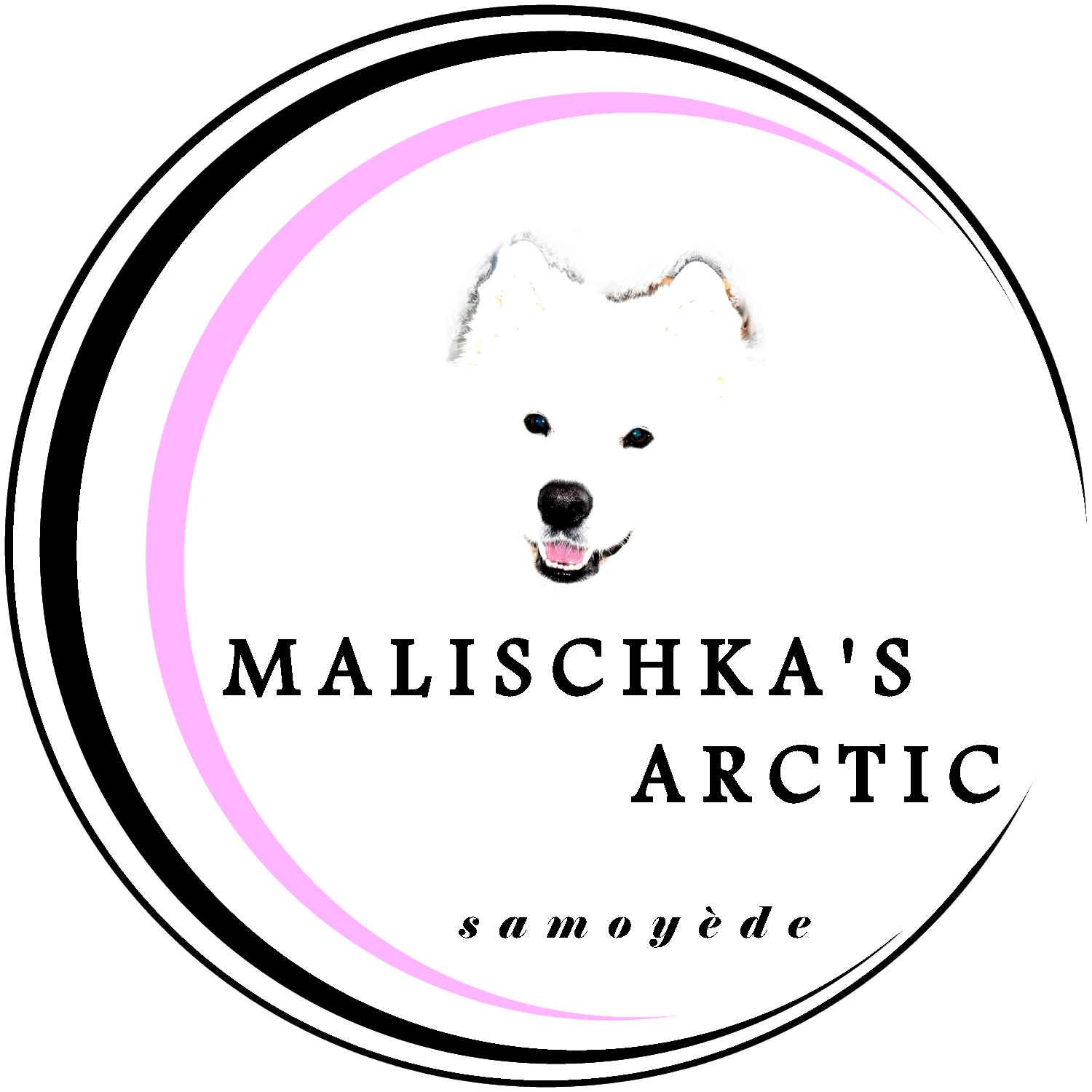 Malischka's Arctic