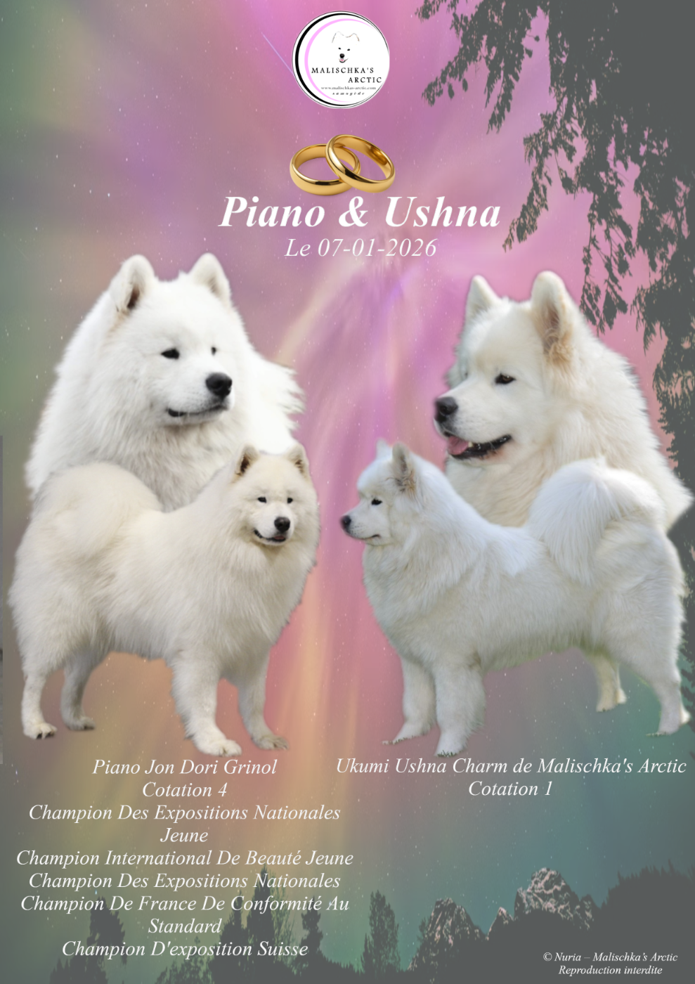 Portée prévue début mars 2026